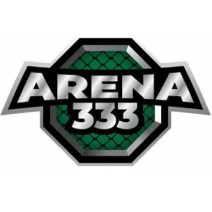 ARENA333 - Balapan Seru di Dunia Racing